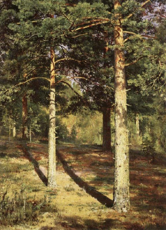 Ivan Shishkin Pine Wood Illuminated by the Sun China oil painting art